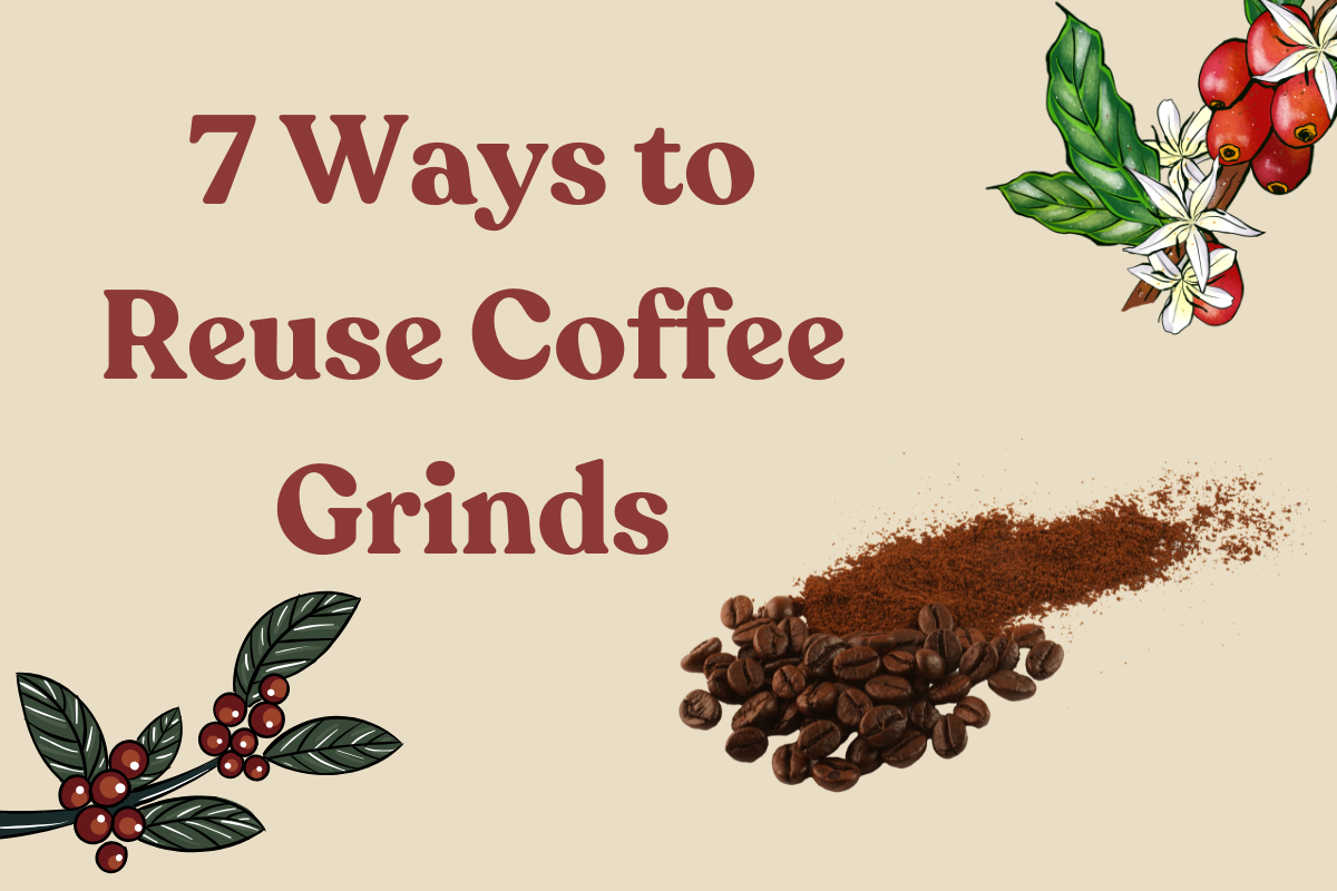7 Creative Ways to Reuse Old Coffee (That Are Actually Fun)